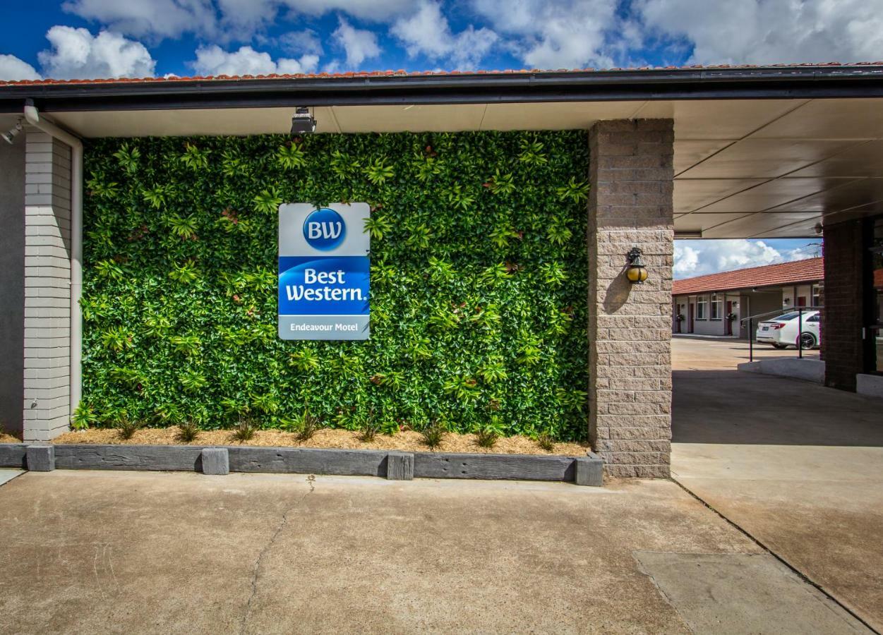 Best Western Endeavour Motel Maitland Exteriör bild